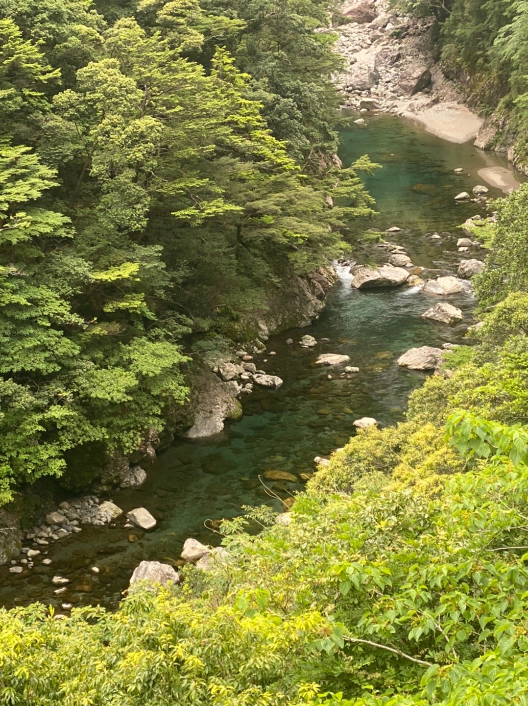 コバルトブルーの清流が輝く！アマゴ釣りやアユ料理が楽しめる宮川上流へドライブ 三重県大台町クルマ情報サイトｰGAZOO.com