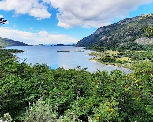 チリ ペンギン鑑賞とティエラデルフエゴ島1日ツアー プンタアレーナス発混乗 の予約ならホットホリデ