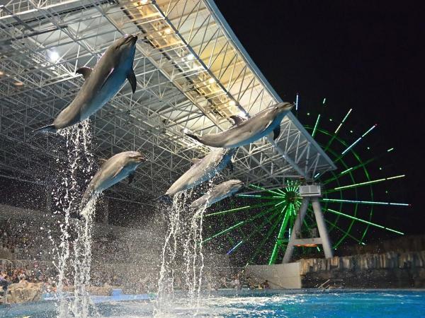 ホームメイト 名古屋港水族館の見どころ