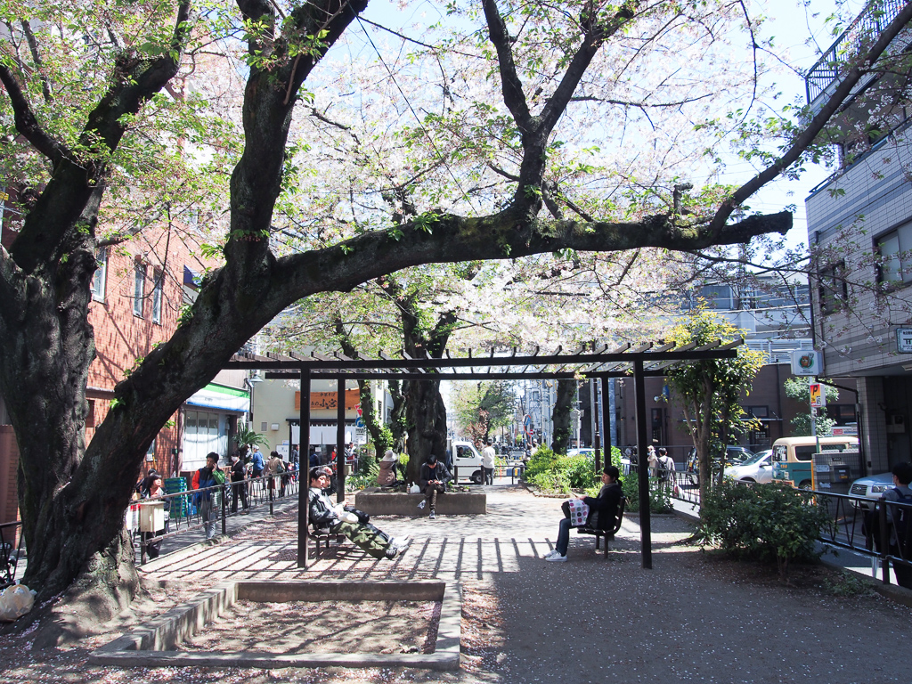 都立大学駅東急東横線北口,南口周辺 周辺風景と出口案内- 東京フォト鉄道