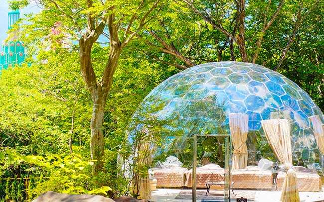 テントグランピング千葉県成田で廃校グランピング&オートキャンプ 公式 TACO GLAMP THE MEXICO愛犬同伴可能