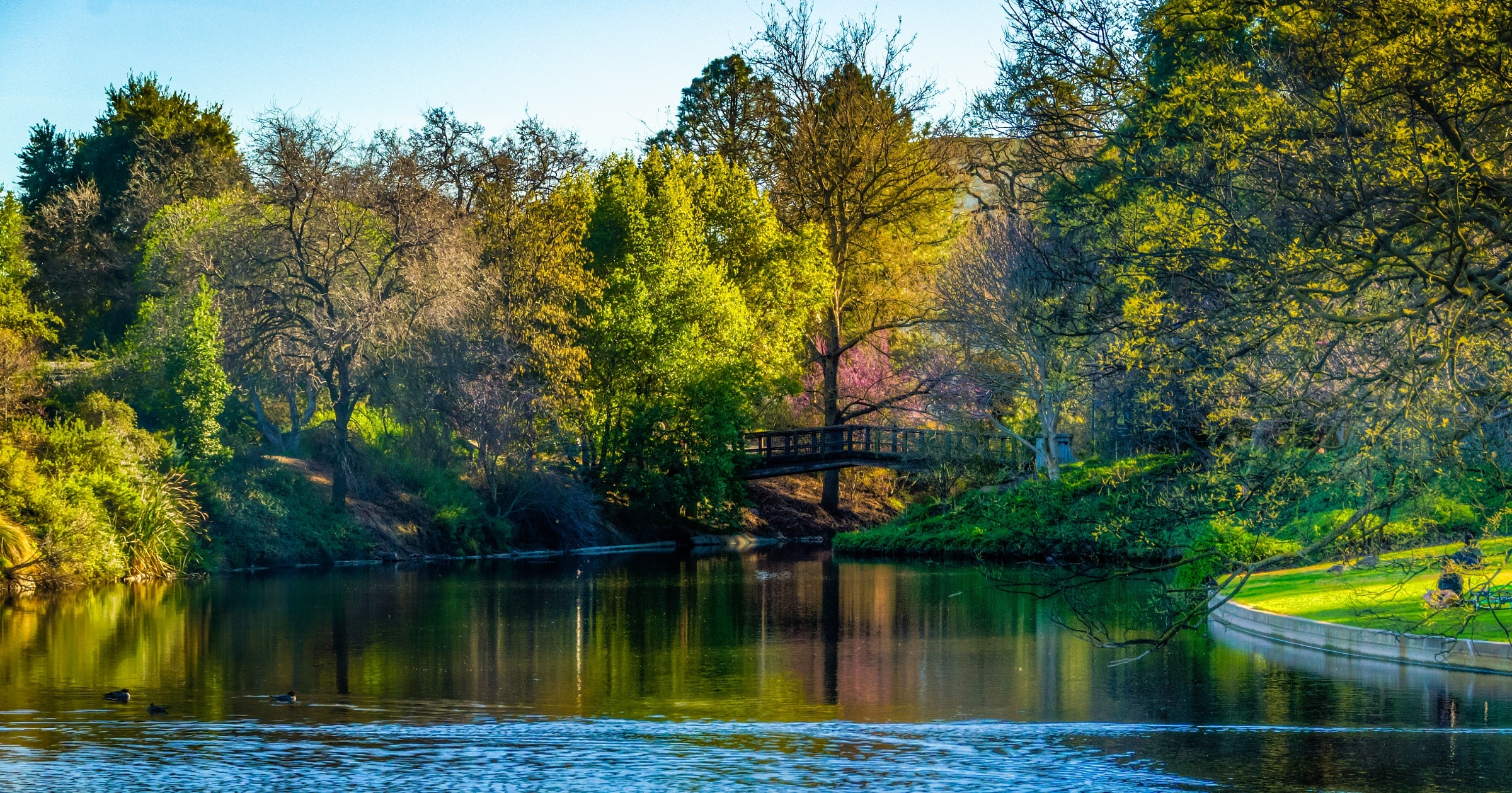 デイビスを体験しよう！SAF - The Study Abroad Foundation