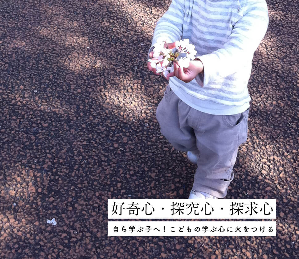 特集：冬のちょこっと外遊び学研 おやこCAN