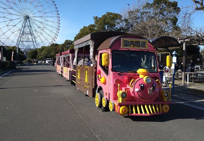 今だけのスイセン約20万輪とイルミネーションを楽しもう！「花と光のムーブメント」葛西臨海公園×スイセンを体験レポートウォーカープラス