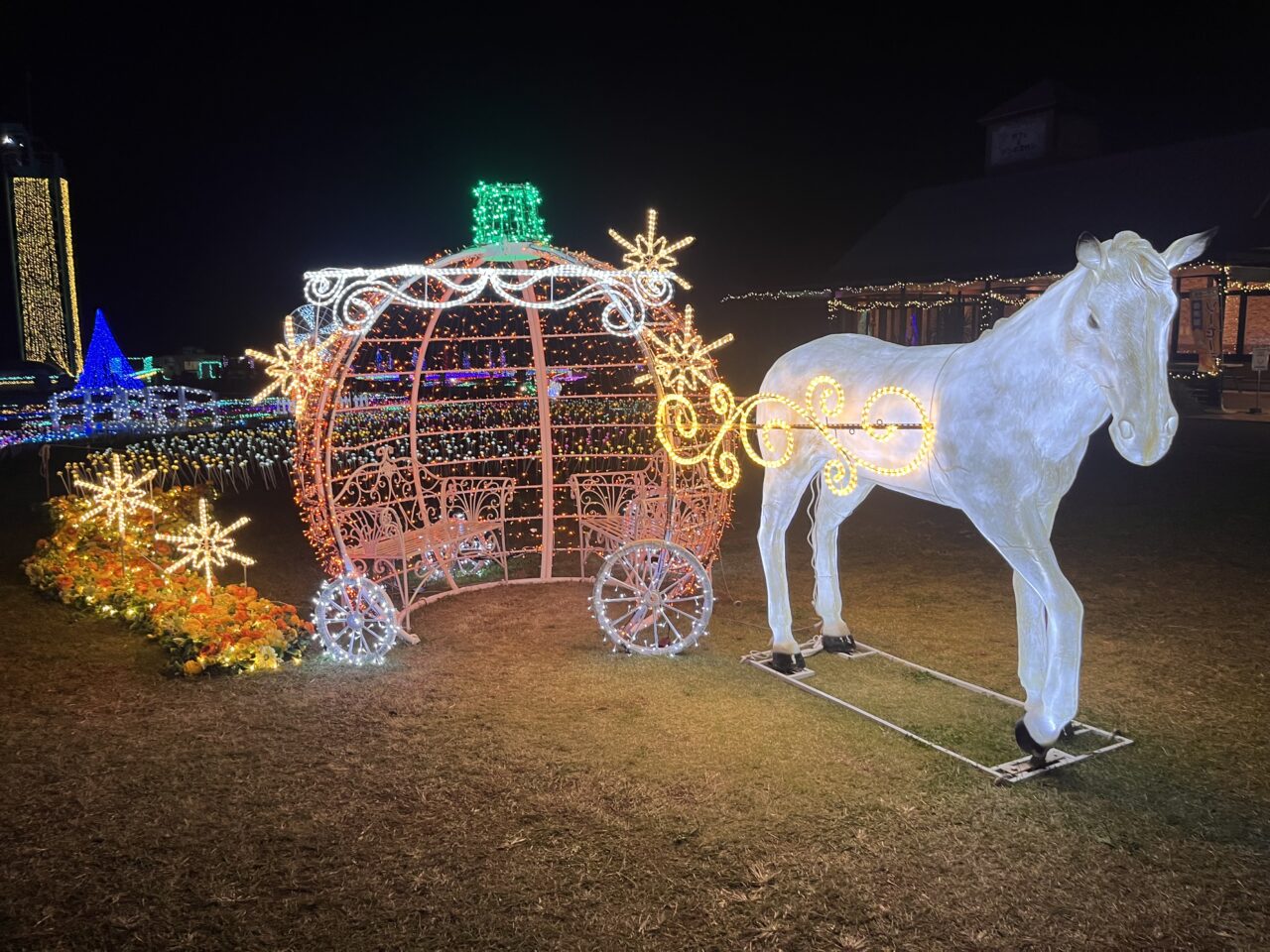 マザー牧場のイルミネーション特集♡冬のマザー牧場を満喫しましょうaumo アウモ