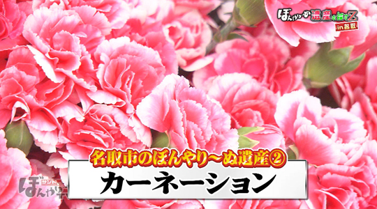 ジャスミンのフライングカーペット ポスター TDS Jasmine's Flying Carpets Poster