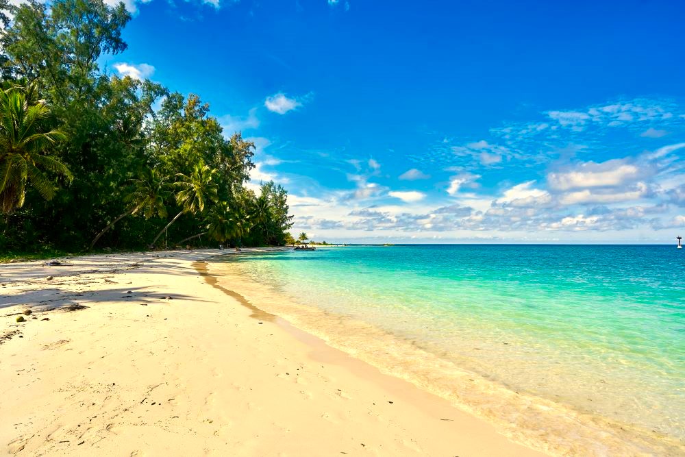 フルムーンパーティしてないタイのパンガン島の真相