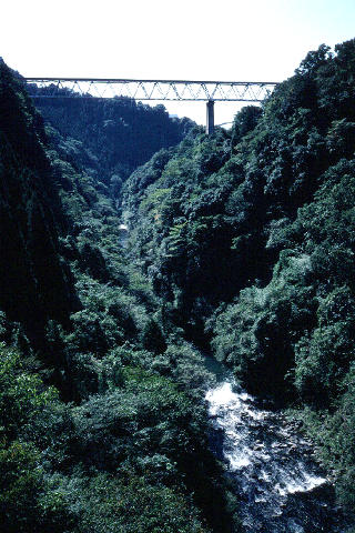 1983年夏、旧国鉄高千穂線。 - ◇続・京都生まれの気ままな遁世僧、「今様つれづれ草」。◇