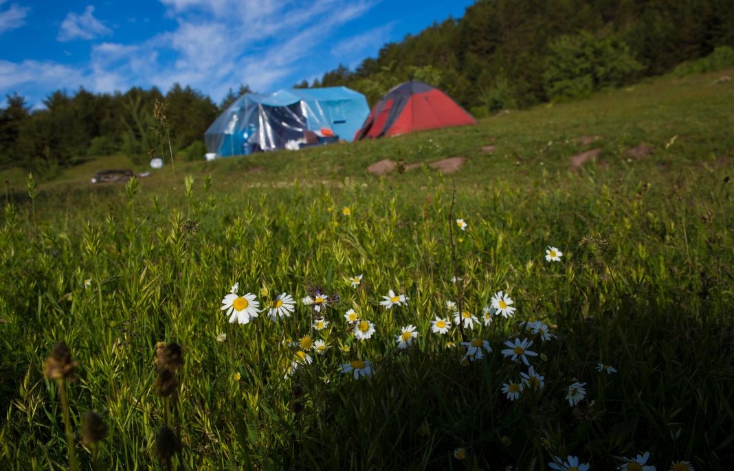 2025年・関東 9月の連休におすすめの定番・穴場おでかけスポット41選