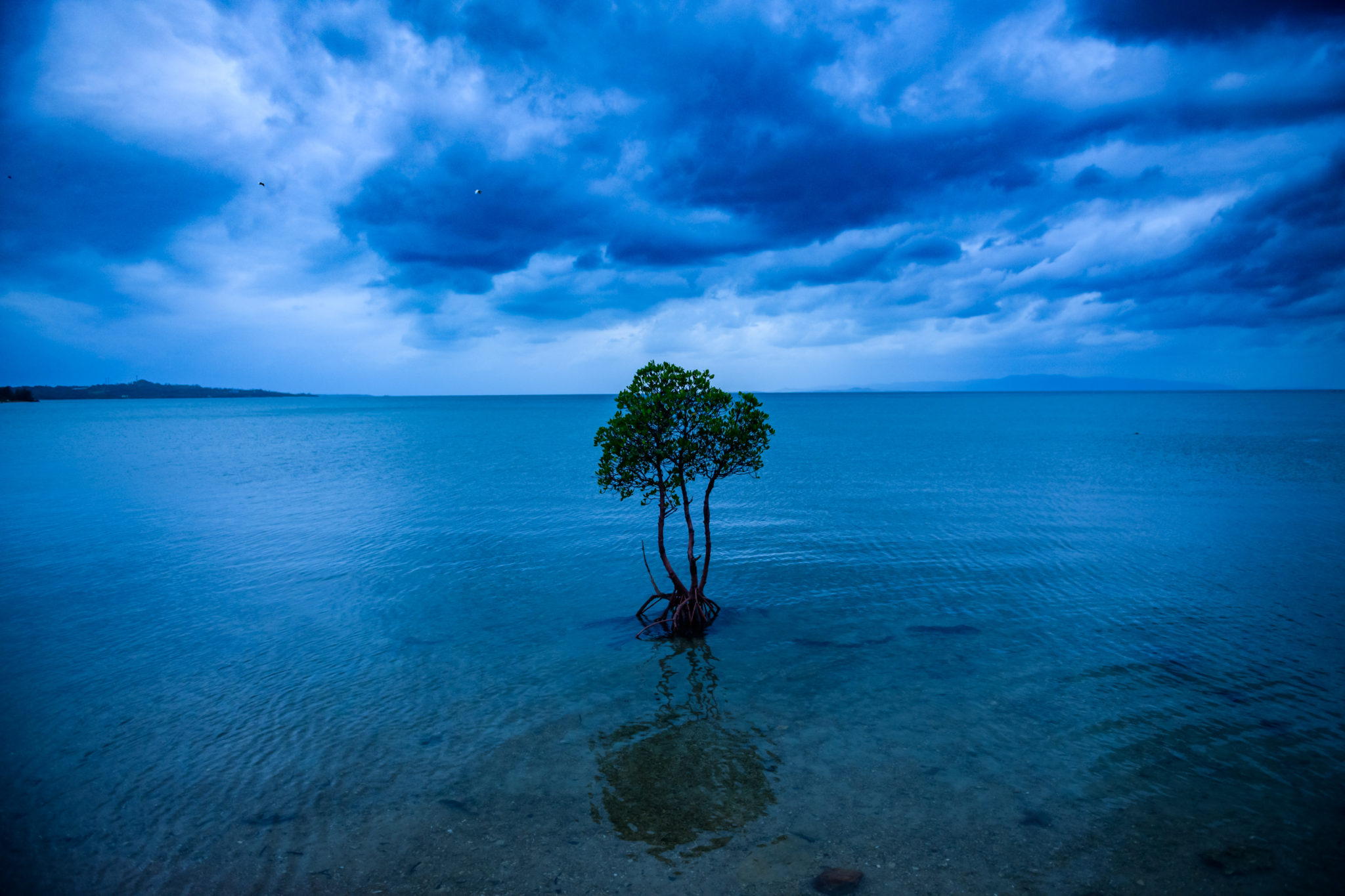 石垣島2018：ようやく晴天！バンナ公園の展望台・川平湾へドライブ