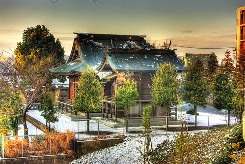 海の公園 初日の出ブログ海の公園公式サイト公益財団法人 横浜市緑の協会