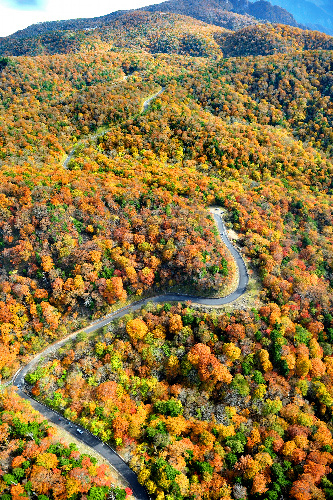 大台ケ原でトレッキング！素晴らしい景色と感動が待ってますよ - イージュー☆camper