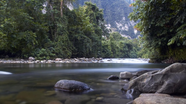 グヌン・ムル国立公園」徹底ガイド旅の大事典