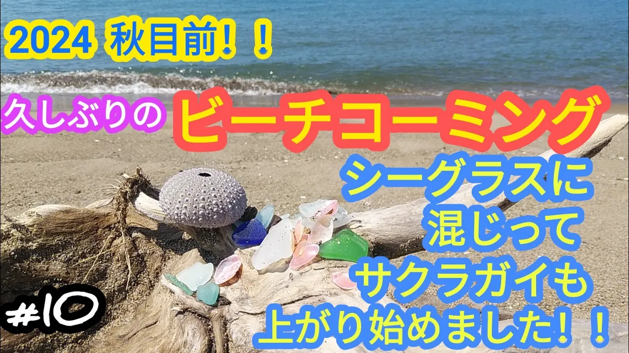夏休み2019：子供と遊ぶイベント・スポット集めました！横浜。ここにしかない情報たくさん。50記事大特集。毎週新情報。横浜・湘南で子供と遊ぶ -あそびい横浜・湘南