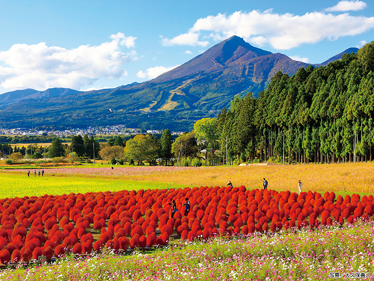 猪苗代ハーブ園福島県耶麻郡猪苗代町のおすすめ観光・レジャースポット旅色