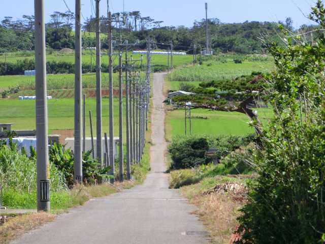 のどかな風景に癒される！小浜島のさとうきび畑と観光スポットを巡ろう♪小浜島ツアーズ