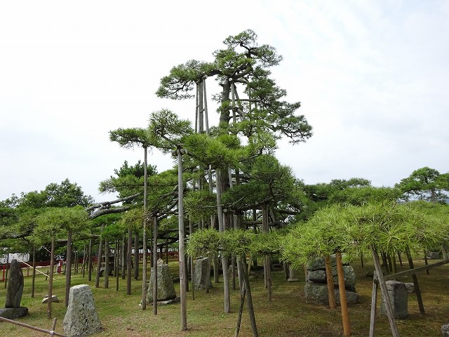 寺田物産」 滋賀県大津市滋賀にもあったみたらし団子発祥説！全国のグルメ食べ歩き