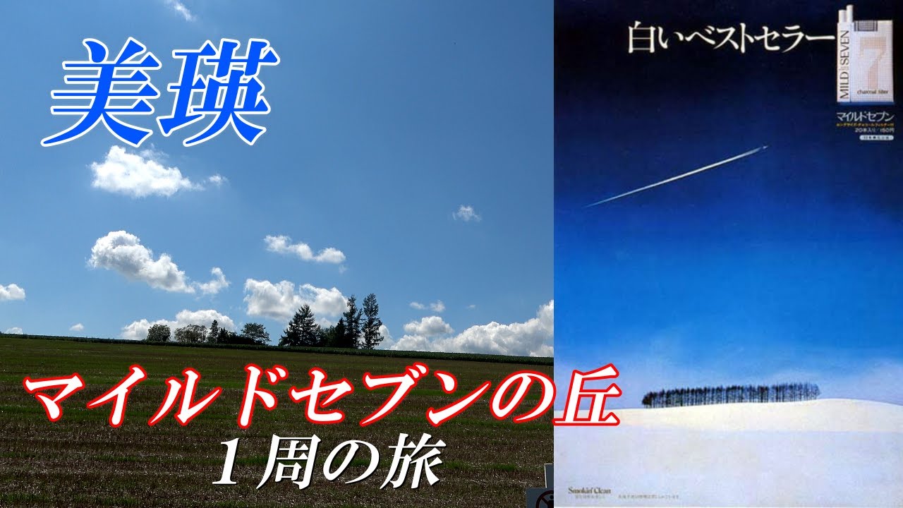 マイルドセブンの丘 MILD SEVEN NO OKA- 北海道グルメ・観光情報NorthSmile