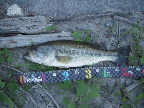 丹生湖 群馬県富岡- 水辺遍路