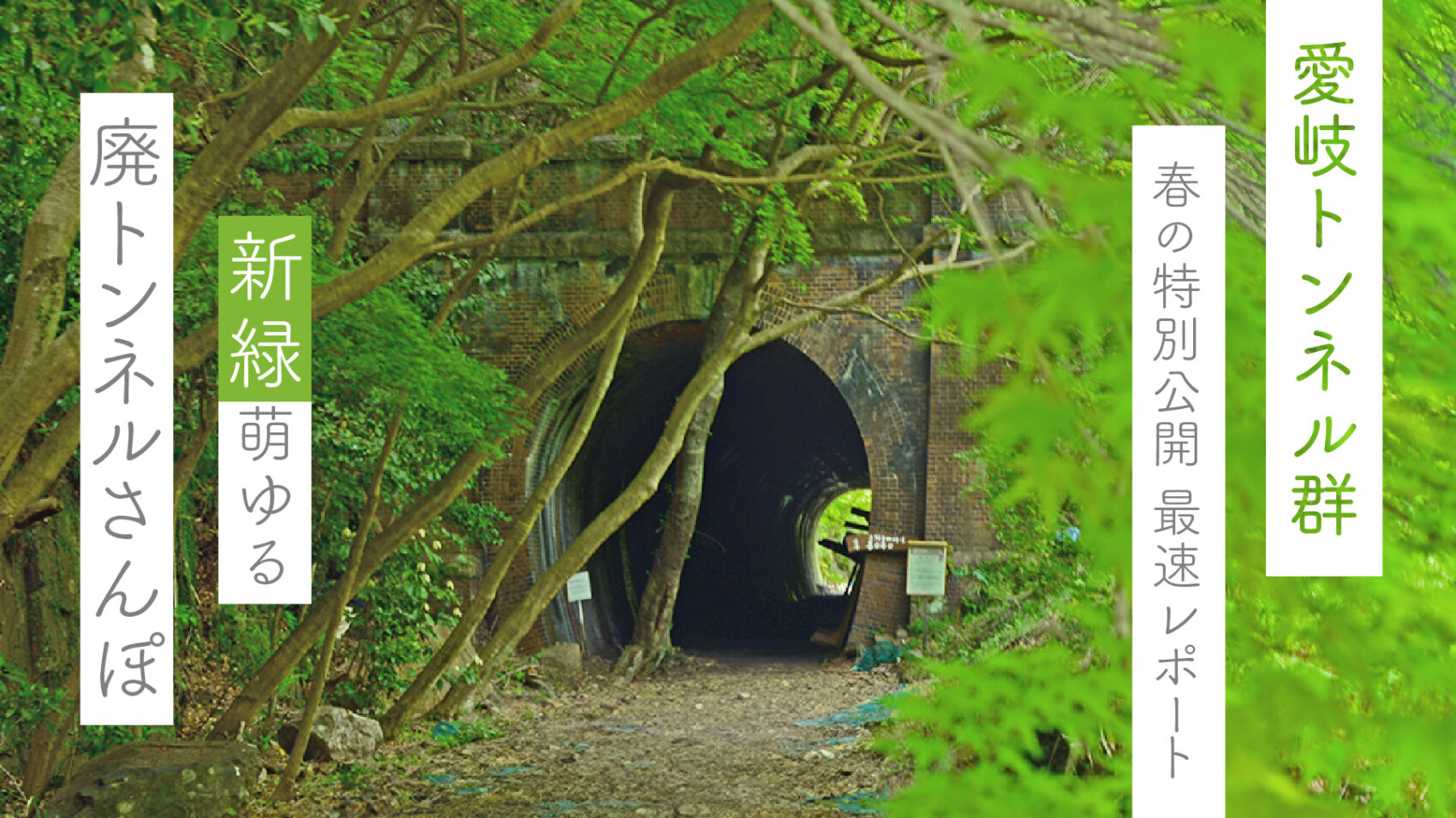 森のビアホールがオープンしました😍 8 2～8 31の土日祝10日間の営業です。初日8 2は、第一部 13:00～14:30 が当会の月例会兼暑気払いで、30数名が参加。もっぱら木陰 3号トンネル手前 で盛り上がりました。🍺🍺続く第2部15:00～は一般営業でした。 森のビアホールは