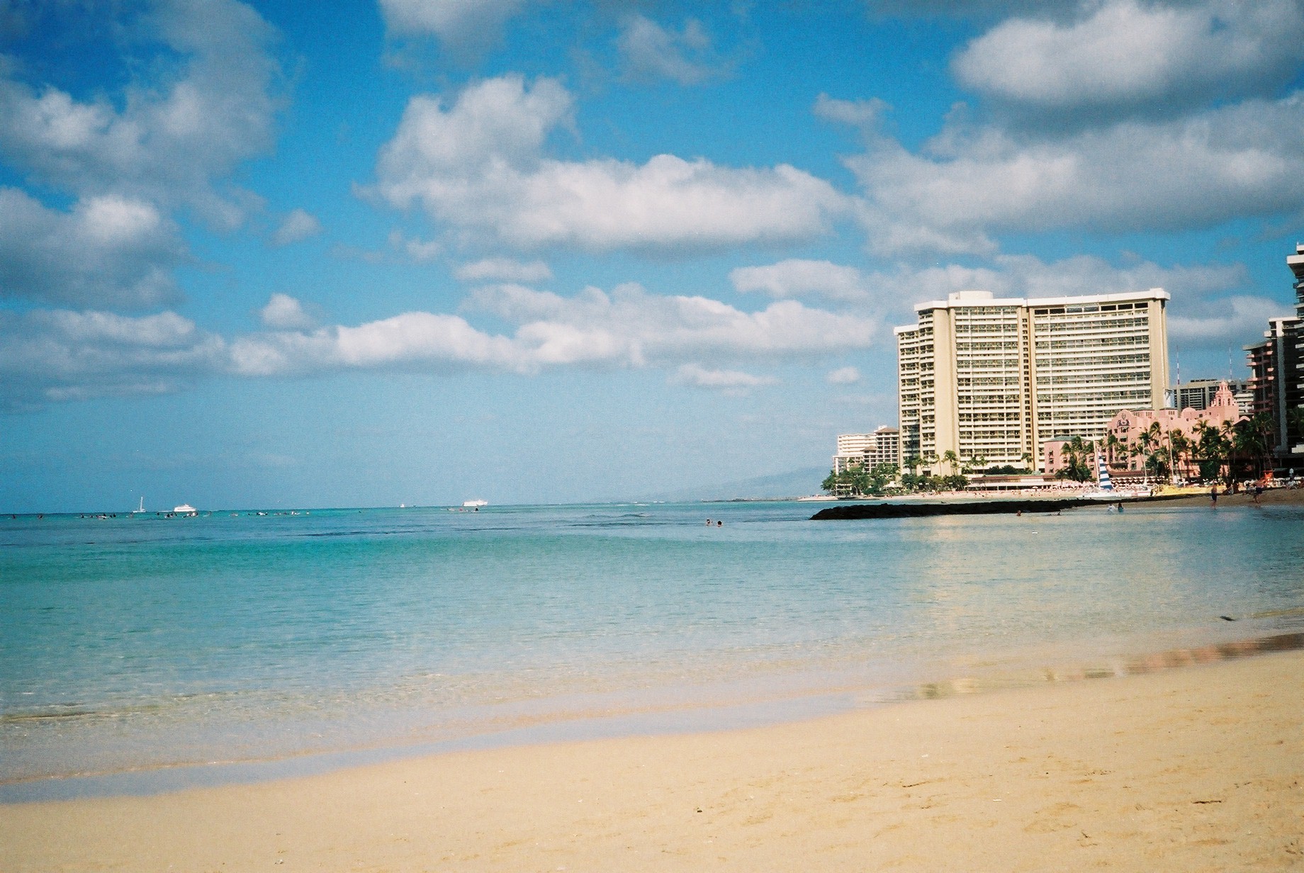 ハワイでシュノーケリングするならココ！おすすめスポットや注意点を解説LEAF&BEAN: 登戸駅から徒歩5分のカフェ