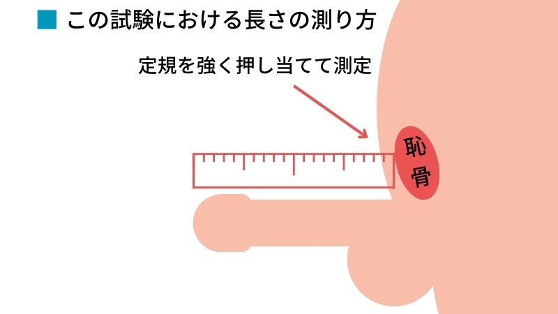 粗チンはどこからが粗チン？BLにおける意外なメリットとは？｜BLニュース ちるちる