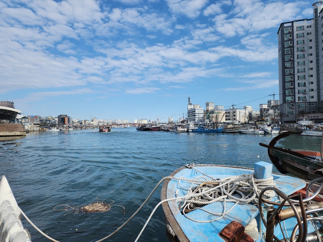 Amazon.co.jp: 愛しの浦項港: ミュージック