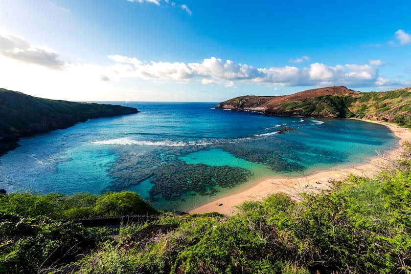 2025年 ハワイ島のスキューバ とシュノーケリング: ハワイ島の 10 件のスキューバ とシュノーケリングをチェックする - トリップアドバイザ