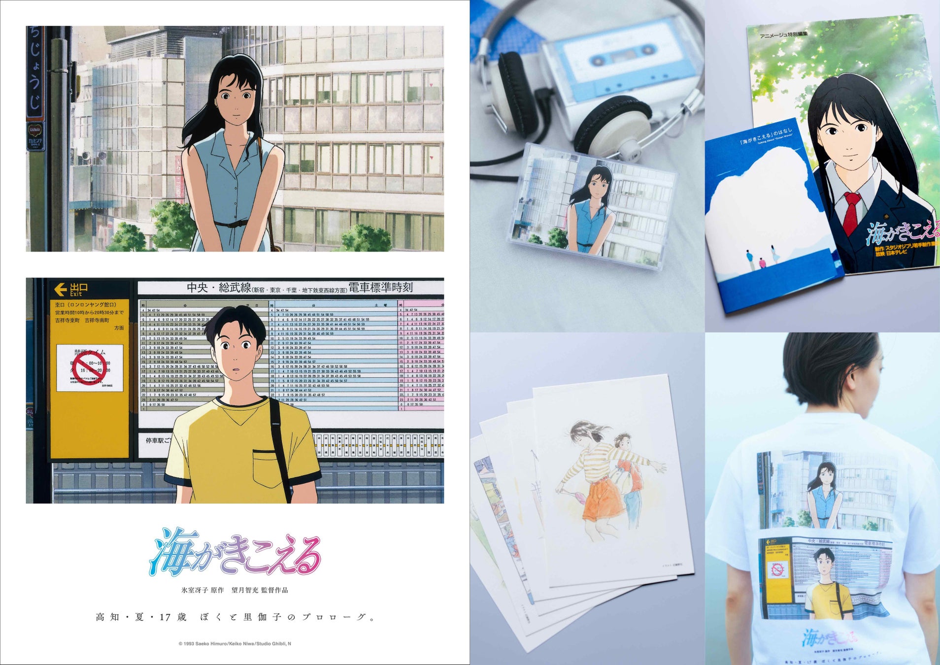 スタジオジブリ BOX商品 ジブリ グッズ となりのトトロ ポーズがいっぱいコレクションDX メイちゃん 6個入りギフト ととろ totoroめい 人形 キャラクタ: Cafe de Donguri Yahoo!店 - 通販 - Yahoo!ショッピング