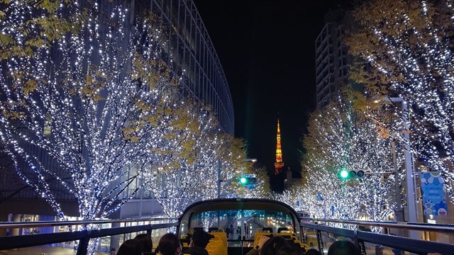 中目黒GTタワー前 並木道: 2011年東京クリスマスイルミネーション