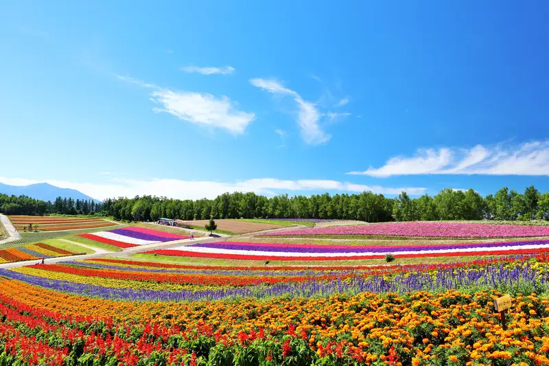 2021おすすめ国内旅行 昨年21か所日本を旅した主婦の良かった旅先ベスト5 myyear2020