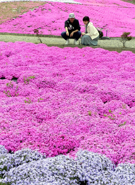 志摩市観光農園 ^^♪伊勢神宮内宮前 岩戸屋