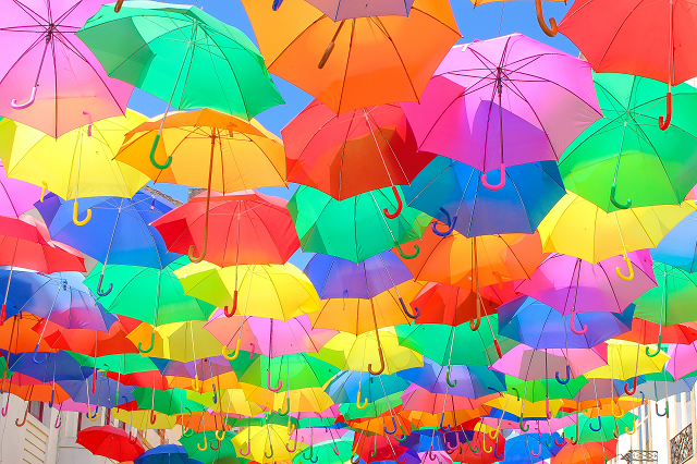 2024平和祭 文化祭 ③ - ニュースアレセイア湘南高等学校