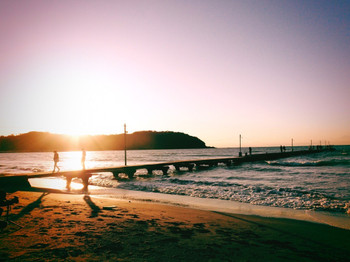 千葉の絶景・岡本桟橋で千と千尋の世界に浸る