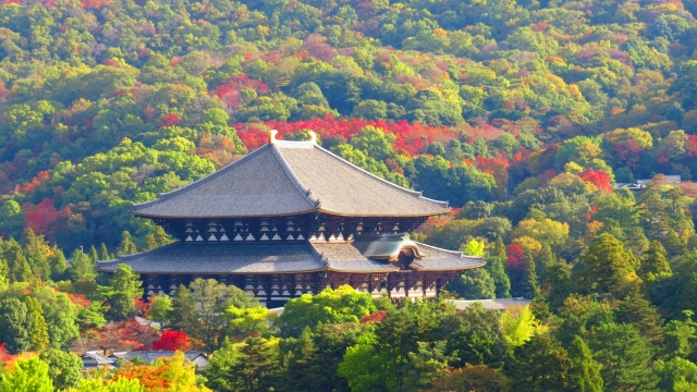 近鉄奈良駅から東大寺への行き方ガイド初めての人向け御朱印ダッシュ