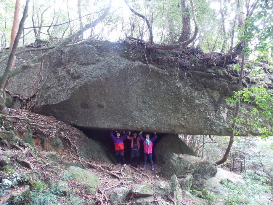 屋久島トレッキングガイドこだまの口コミ 1日かけて、白谷雲水峡から太鼓アソビュ