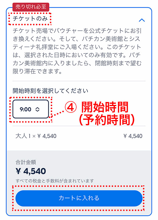 バチカン美術館、システィーナ礼拝堂、サン・ピエトロ大聖堂スキップ・ザ・ラインツアー 2025 - ローマ