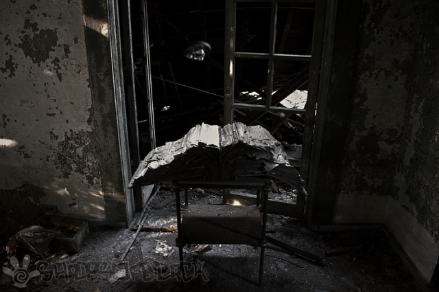 ノース コースト観光ガイド～定番人気スポットを参考に自分にピッタリの観光プランを立てよう！エクスペディア