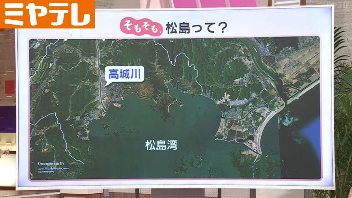 □「 松島や ああ松島や 松島や」は、さてどうだ？ 仙台・蔵王・松島の旅 ③ ５月４日:編集長日記 図書出版 花乱社