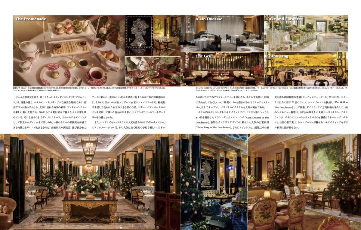 絶対王者のスコーン！プレーンスコーンVSセイボリースコーン 英国展 2025日本橋三越本店