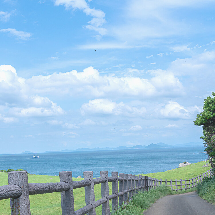 ゆーこ。さんの投稿 杉ノ原放牧場ことりっぷ