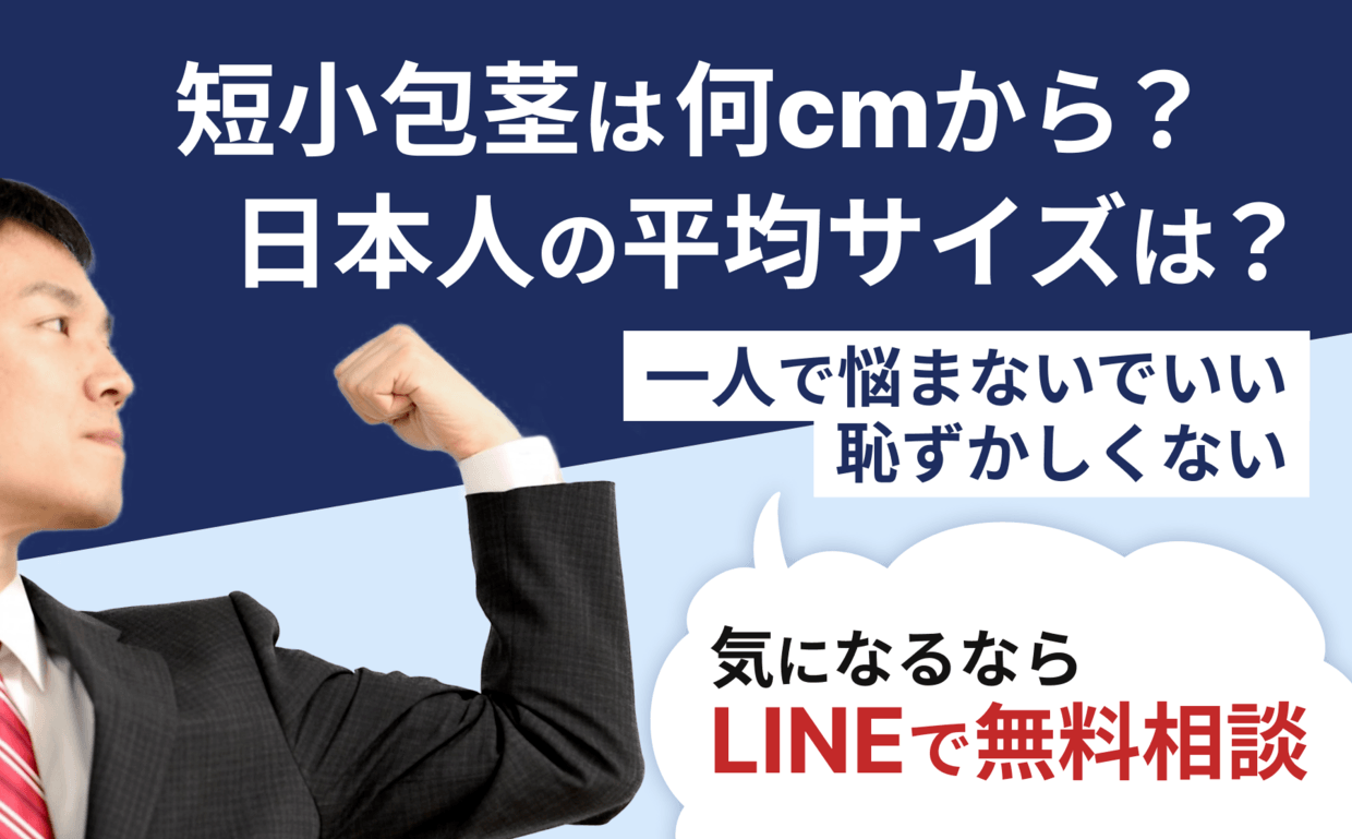 ペニスの構造や勃起の仕組みは？平均サイズ【医師監修】 - 夜の保健室