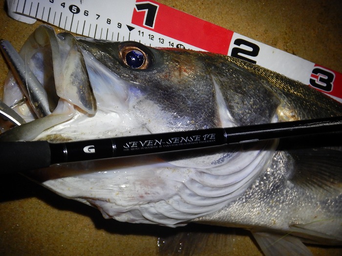 迫力ある釣果写真を撮影するための5つのポイント 釣り専門記者が解説TSURINEWS