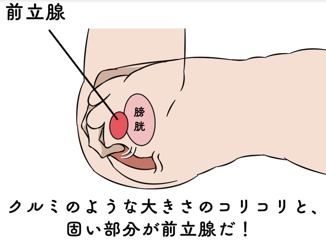 全部18禁】授業中に激太尿道責めが止まらない!!!ドスケベプレイでびゅるびゅる絶頂3連発｜BLニュース ちるちる