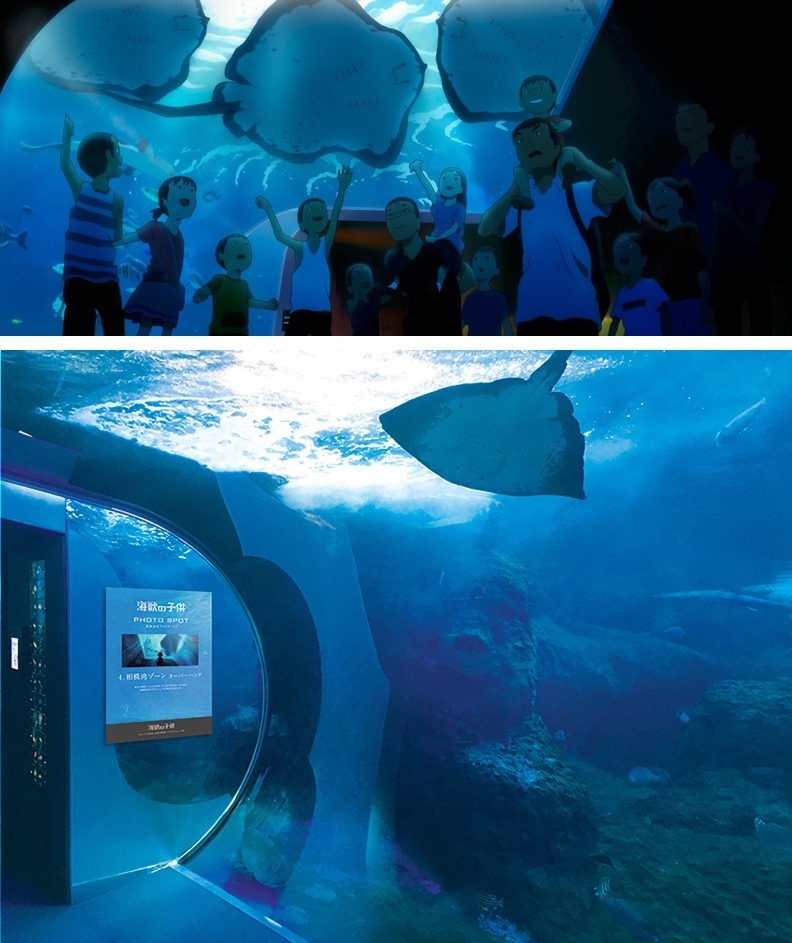 可愛くてきれい！新江ノ島水族館にある超インスタ映えスポットをご紹介します！ - Coden's Photogram