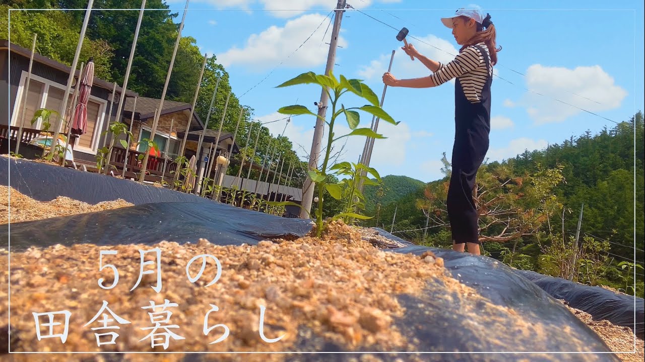 古い町並みをぶらり散歩。韓国「北村韓屋マウル」の魅力を徹底解剖RETRIP リトリップ