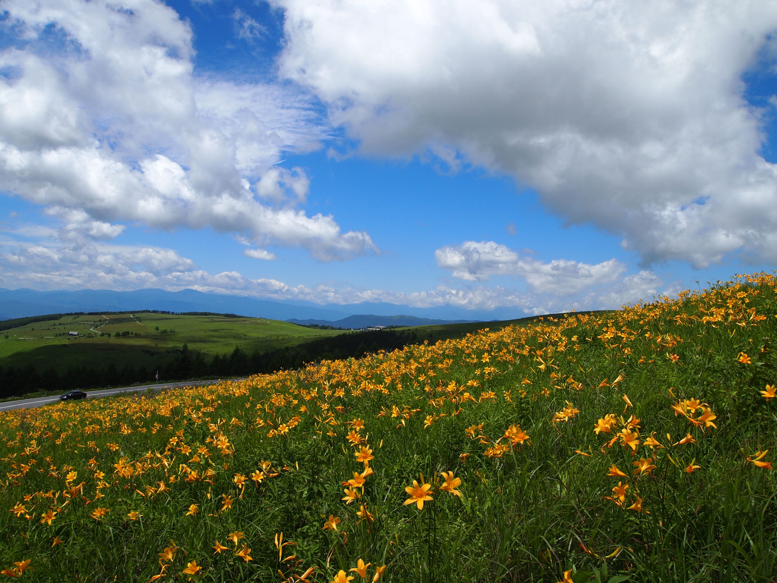 霧ヶ峰高原ハイキング5月 初夏の霧ヶ峰日帰り-登山百景