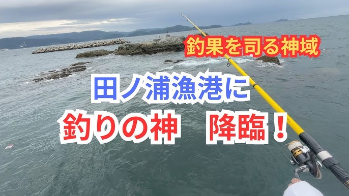 和歌山釣果 御坊沖 ビッグワンさんで出船！〝タイラバ〟〝ジギング〟の釣果お持込み♪フィッシングマックス 関西の釣果大阪・神戸・和歌山の釣果情報