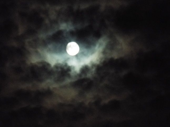 あべのハルカス展望台の夜景に浮かぶ大阪の名所を巡るマッピングショー株式会社ネイキッドのプレスリリース