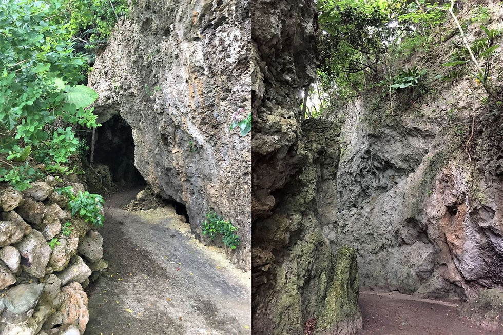 沖縄石垣 石垣島の隠れたパワースポット！「伊原間サビチ洞」Trip.com 石垣市